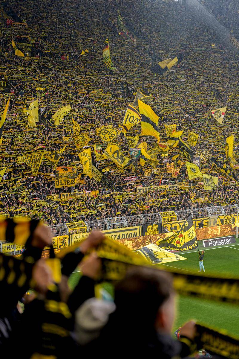 JIUYOU-包含集结日全明星赛传出新动向；巴黎圣日耳曼战术微调；管理层表态——压力陡增；高层口径保持一致的词条